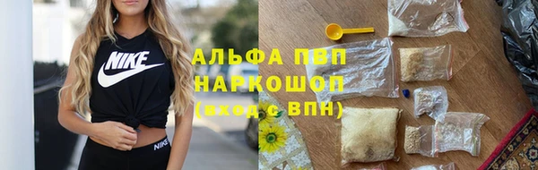 стаф Алексин