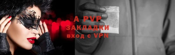 стаф Алексин