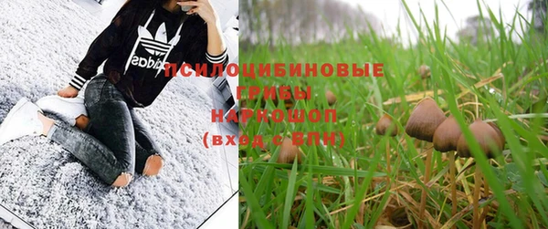 скорость Алзамай