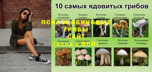 твердый Алексеевка