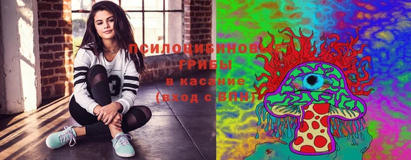 твердый Алексеевка