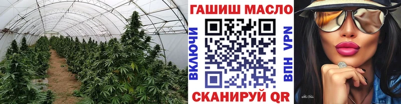 ТГК гашишное масло  Жирновск 